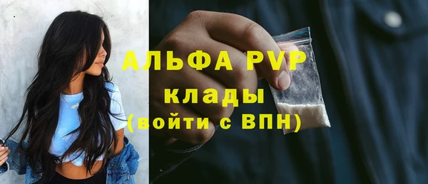 ешки Арсеньев