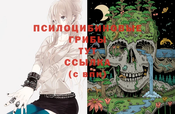 ешки Арсеньев